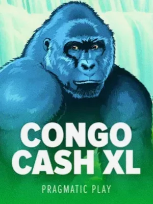 Congo Cash XL at Bsb007