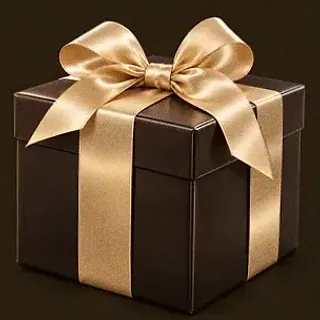 Wrapped gift box — Bsb007